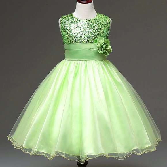 Lime Green Sequin Organza Flower Girl Dress - Picture 1 of 3